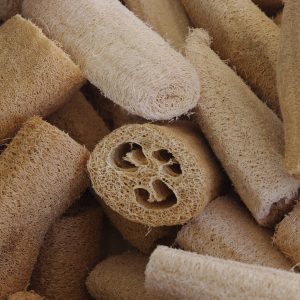 Luffa szivacs