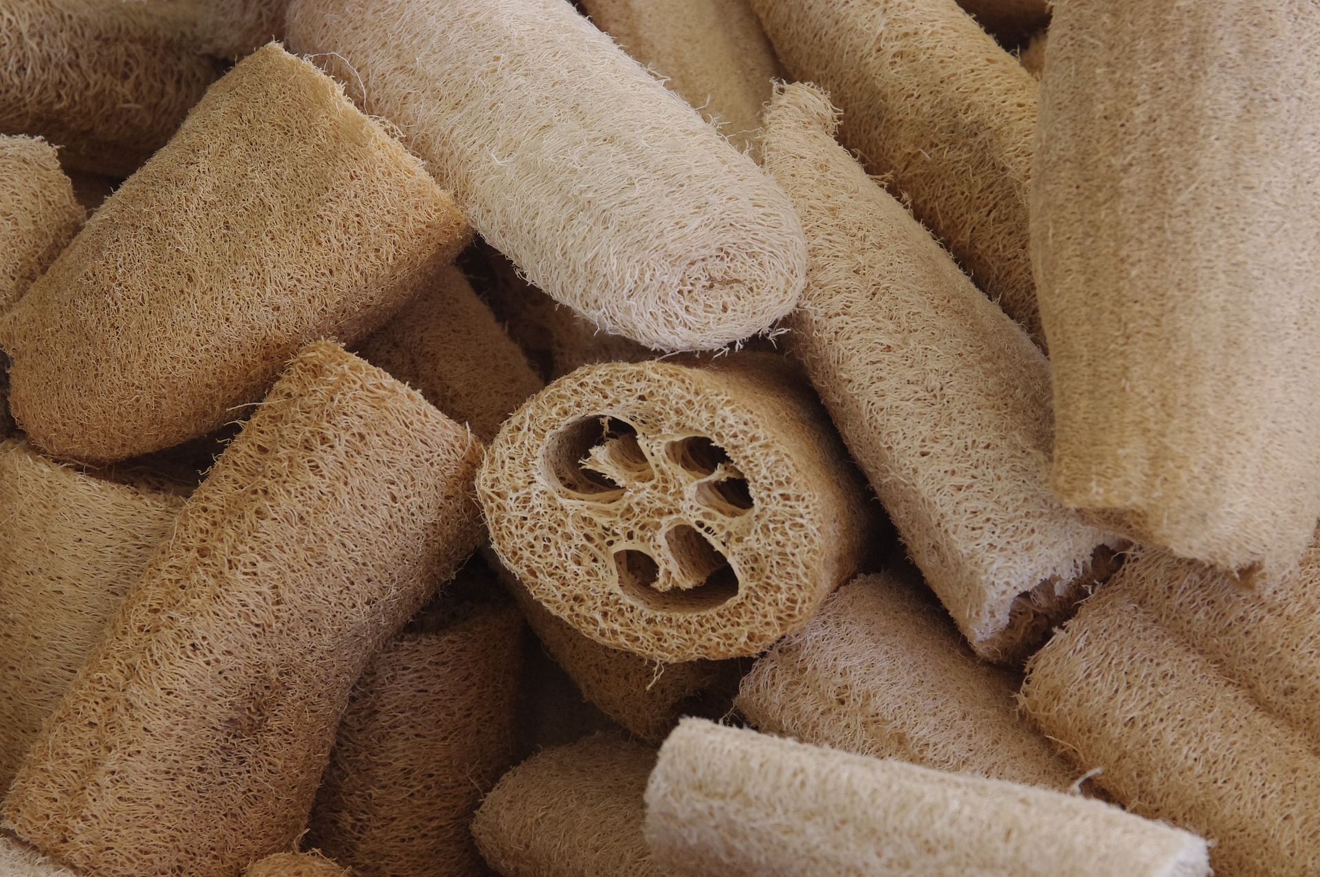 Luffa szivacs